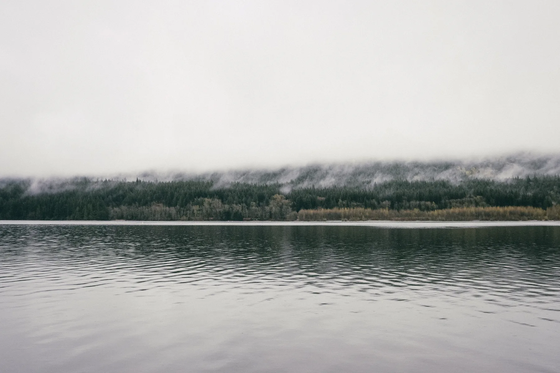 A quiet Oregon lake beneath a forested shoreline wrapped in low clouds.